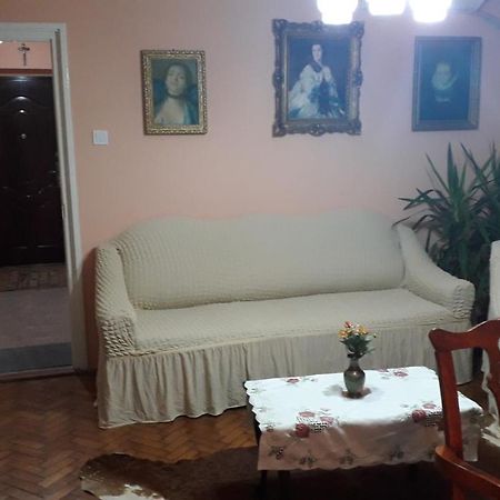 Cozy, Central 1-Bedroom Apartment In Timisoara, Romania 外观 照片