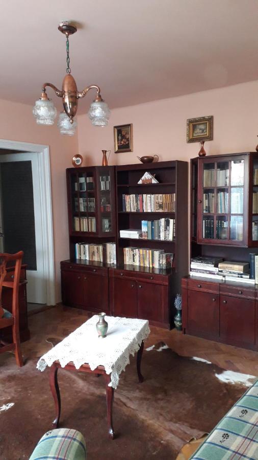 Cozy, Central 1-Bedroom Apartment In Timisoara, Romania 外观 照片