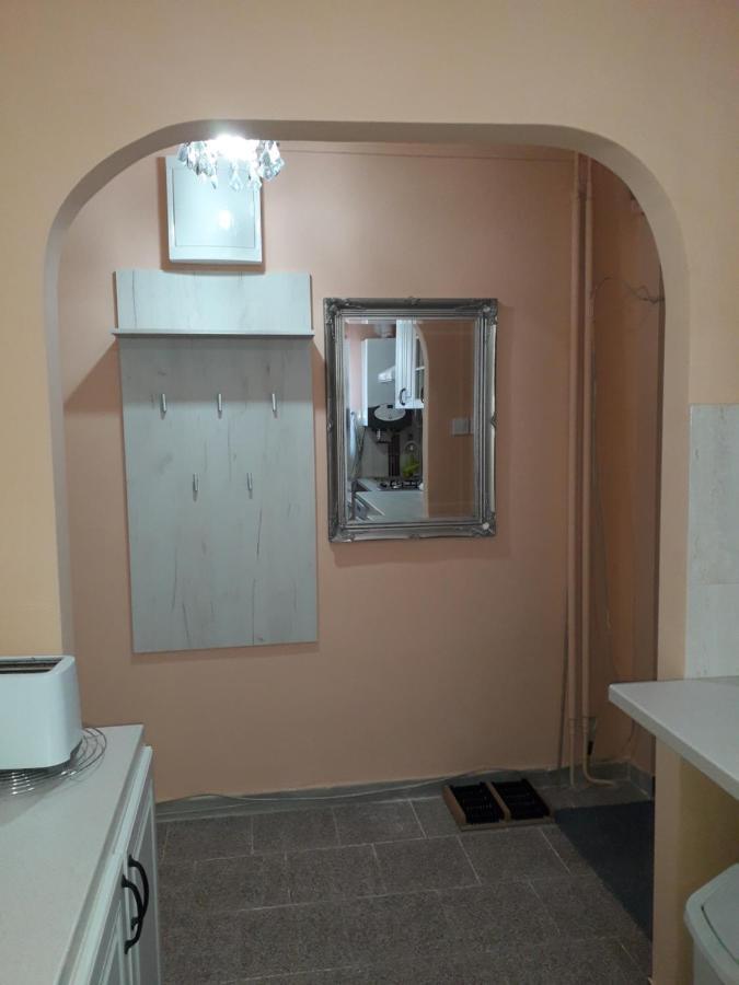 Cozy, Central 1-Bedroom Apartment In Timisoara, Romania 外观 照片