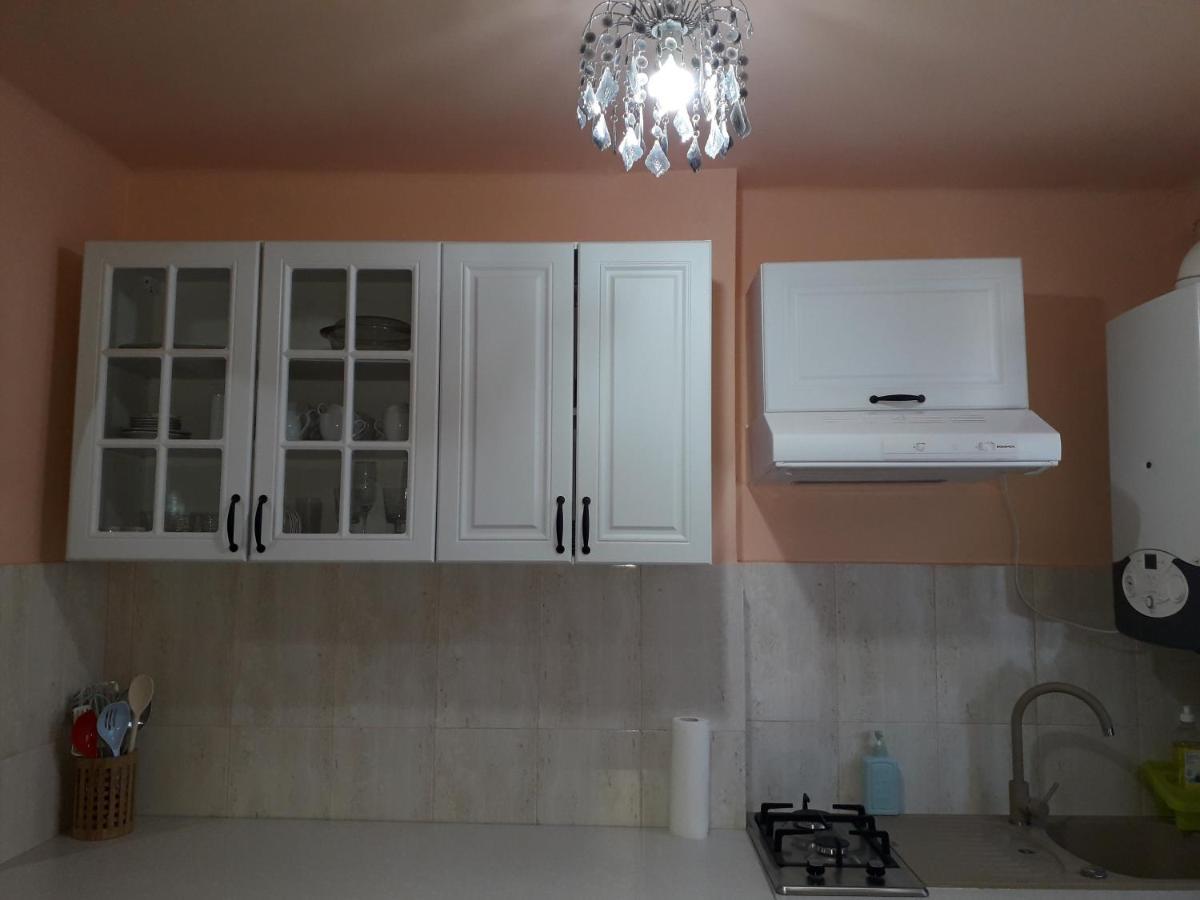 Cozy, Central 1-Bedroom Apartment In Timisoara, Romania 外观 照片