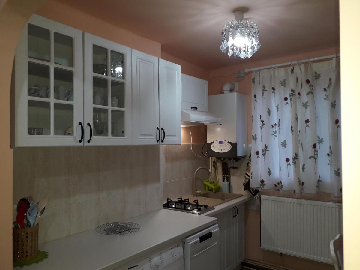 Cozy, Central 1-Bedroom Apartment In Timisoara, Romania 外观 照片
