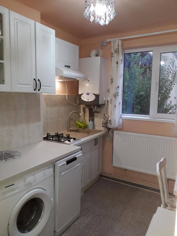 Cozy, Central 1-Bedroom Apartment In Timisoara, Romania 外观 照片
