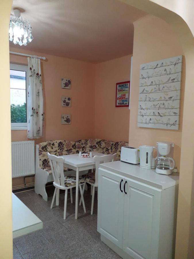 Cozy, Central 1-Bedroom Apartment In Timisoara, Romania 外观 照片