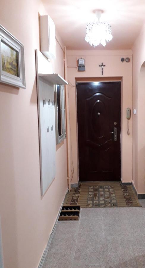 Cozy, Central 1-Bedroom Apartment In Timisoara, Romania 外观 照片