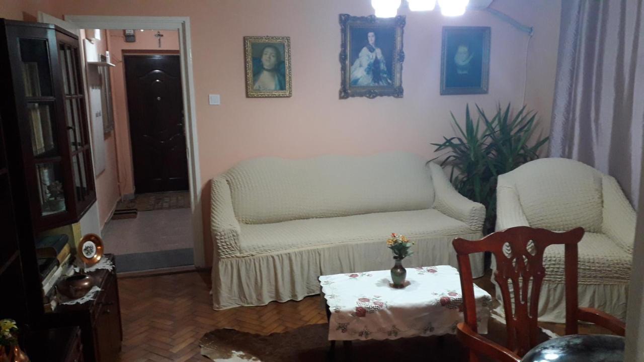 Cozy, Central 1-Bedroom Apartment In Timisoara, Romania 外观 照片